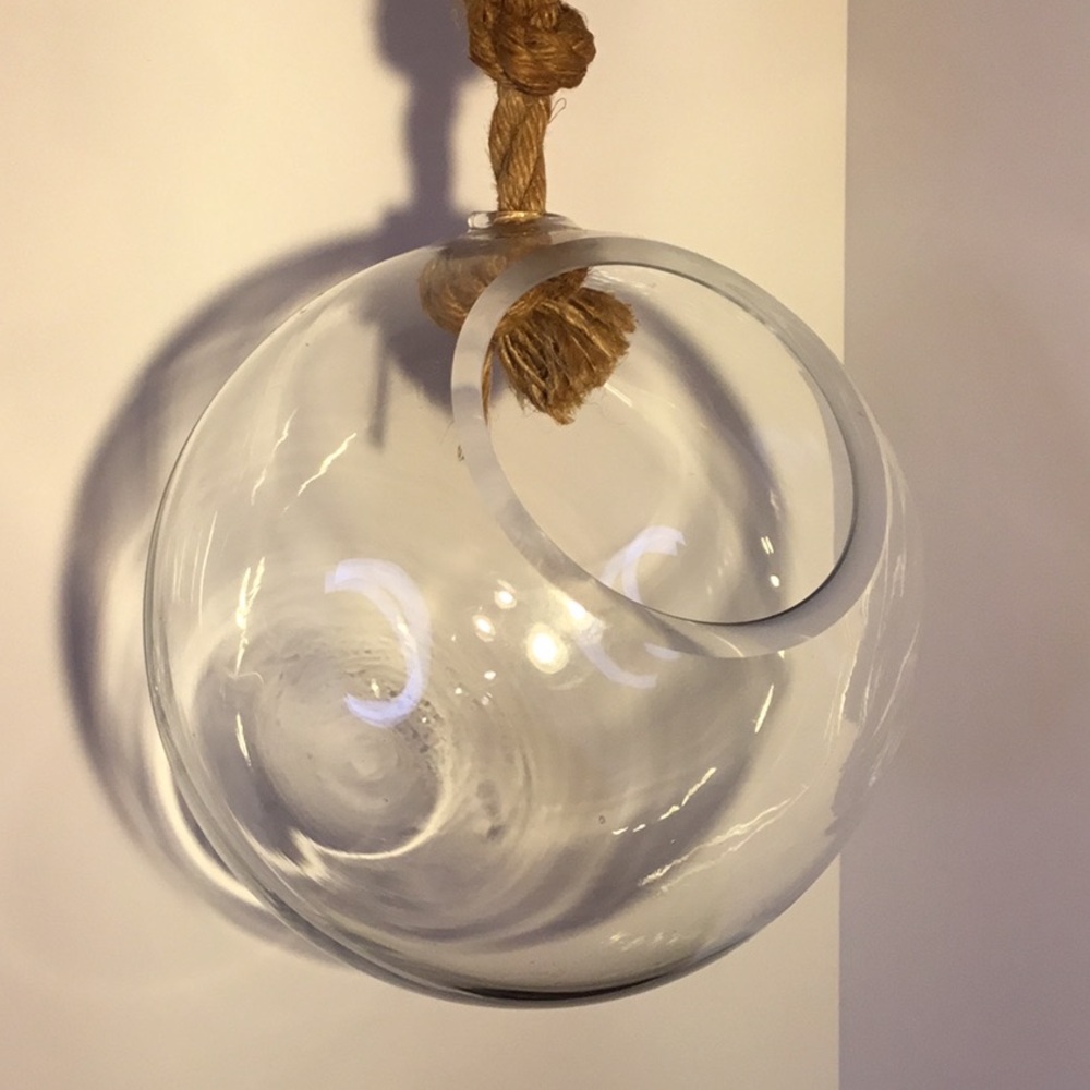 Large Hanging Globe Terrarium With Rope Hanger - Picture 13 of 16